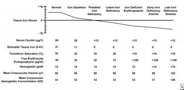 Complete Blood Count Normal Ranges Chart Uk