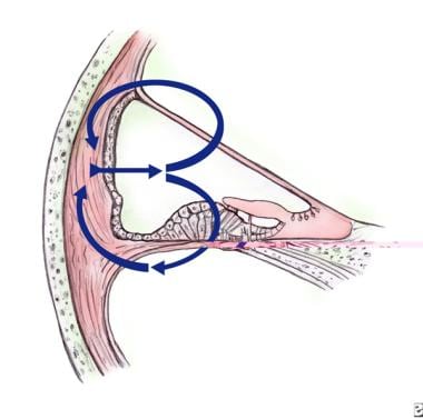The pattern of radial electrolyte flow within the 