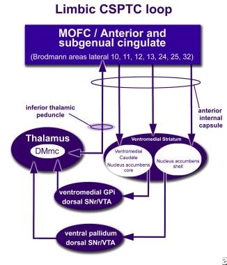 How neuromodulation at the inferior thalamic pedun