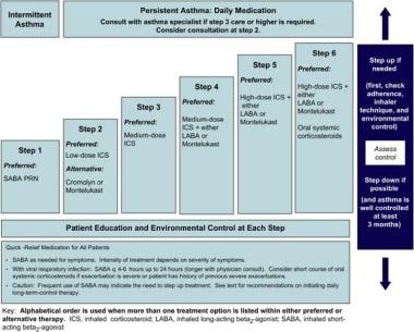 Pediatric Reactive Airway Disease Treatment & Management: Approach ...