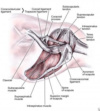 Arthroscopic view of the rotator cuff repair. Picture a shows the large