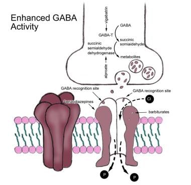 Gamma-aminobutyric acid (GABA)-A receptor mediates