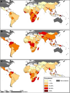 Distribution of soil transmitted helminths (STH) T