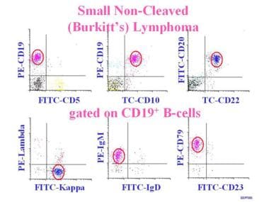 The 2-dimensional flow cytometry demonstrates the 