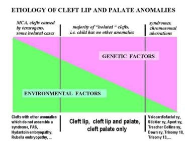Etiology of cleft lip and palate anomalies. 