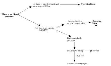 Perioperative Management of the Geriatric Patient: Overview, Preoperative  Evaluation, Selected Problems and Management