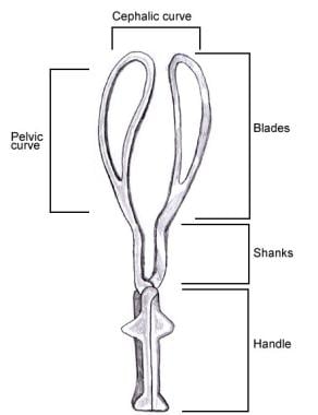 Simpson forceps, labeled to show parts of the inst