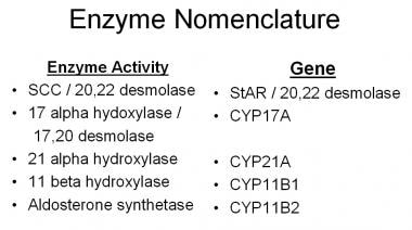 Enzymes and genes involved in adrenal steroidogene