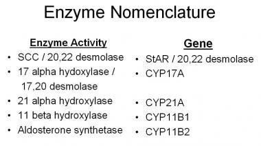 参与肾上腺类固醇激素基因的酶和基因