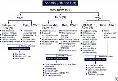 Anemia Diagnosis Chart