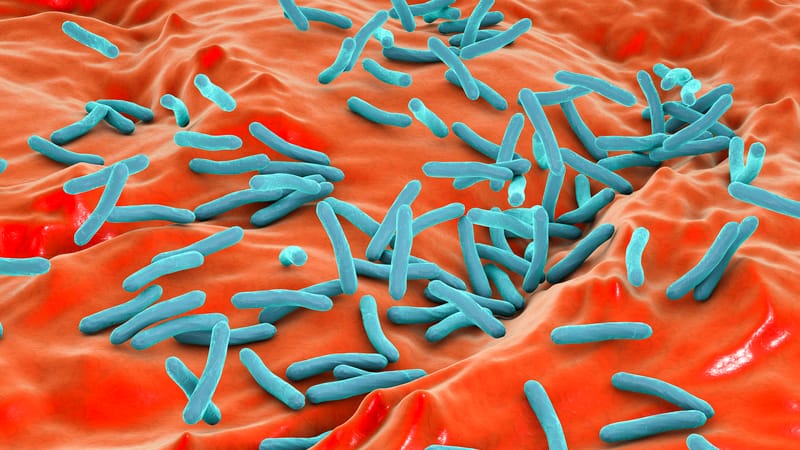 Tuberculose multirresistente: novas drogas e esquemas de curta duração