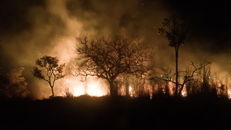 O ar é insuportável”: Os impactos das queimadas associadas ao desmatamento  da Amazônia brasileira na saúde
