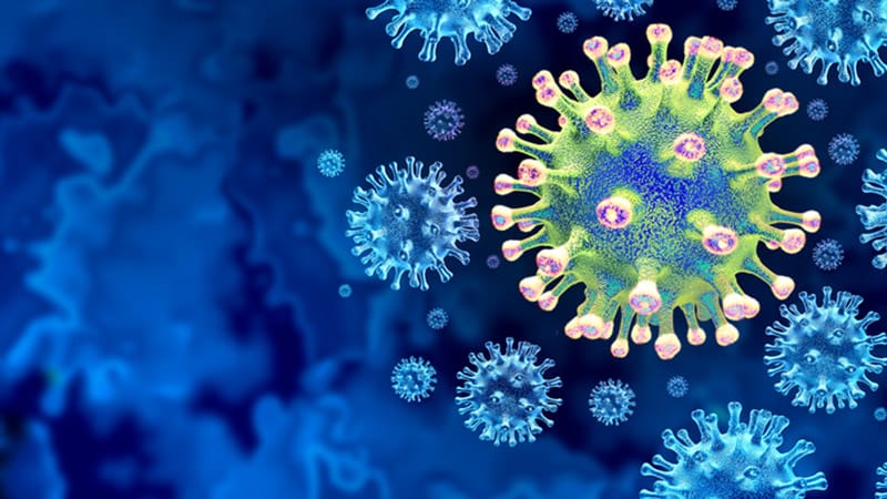 P.1 e P.2: Brasil tem agora duas variantes do SARS-CoV-2 com que se preocupar