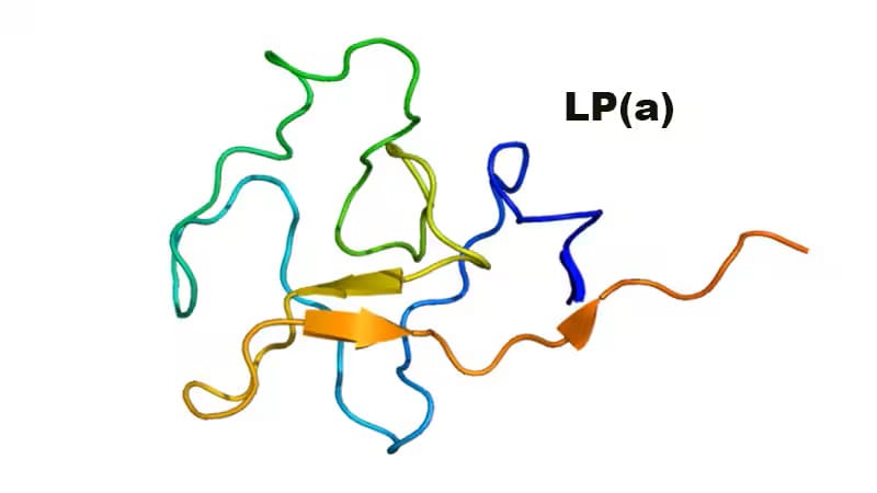 Lipoproteína (a) é associada a aumento de eventos cardiovasculares ...