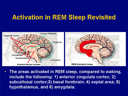 Sustaining Wakefulness In Excessive Sleepiness Consequence Prevention Sustaining Wakefulness In Excessive Sleepiness Consequence Prevention