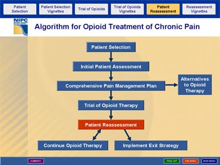 Advances in Opioid Analgesia: Maximizing Benefit While Minimizing Risk