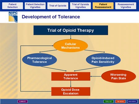 Advances in Opioid Analgesia: Maximizing Benefit While Minimizing Risk