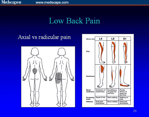 Pain Is the Fifth Vital Sign: The Role of Primary Care in Pain ...