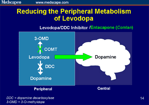 management-of-levodopa-therapy-in-parkinson-s-disease