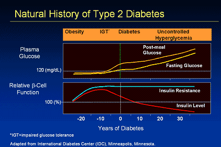 Slide 5. Natural History of Type 2 Diabetes