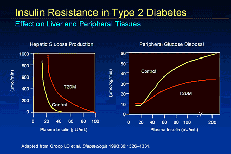 Slide 9. Insulin Resistance in Type 2 Diabetes: Effect on Liver and Peripheral Tissue