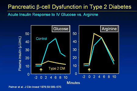 Slide 22. Pancreatic Beta-Cell Dysfunction in Type 2 Diabetes: Acute Insulin Response to Intravenous