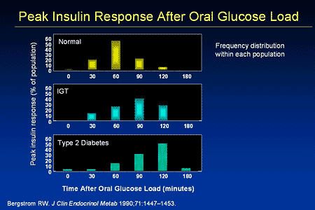 Slide 23. Peak Insulin Response After Oral Glucose Load