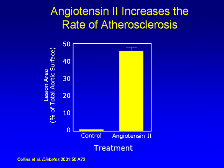 Slide 9. Angiotensin II Increases the Rate of Atherosclerosis