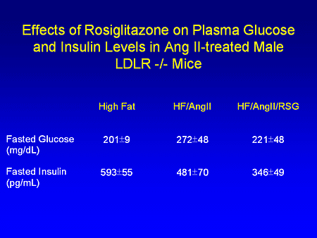 Slide 11. Effects of Rosiglitazone on Plasma Glucose and Insulin Levels in Angiotensin II-treated Ma