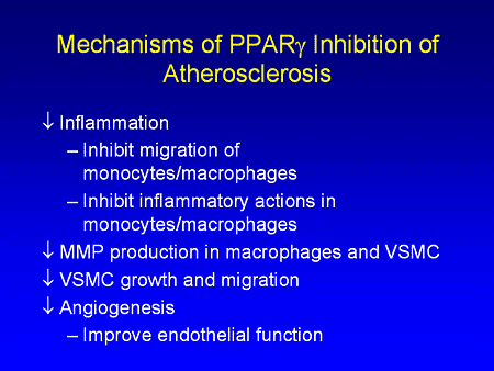 Slide 15. Mechanisms of PPAR-gamma Inhibition of Atherosclerosis