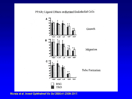 Slide 18. PPAR-gamma Ligand Effects on Retinal Endothelial Cells