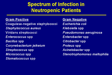 Slide. Spectrum of Infection in Neutropenic Patients