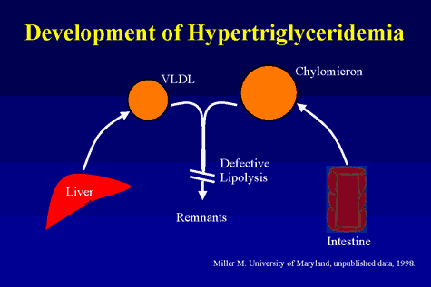 Management of Hypertriglyceridemia