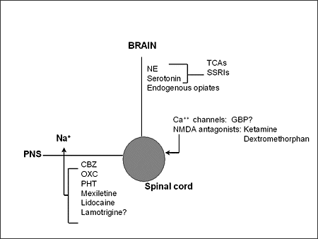 For neuropathic pain lorazepam