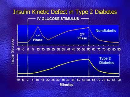 The Evolution of Diabetes Therapy: Addressing Multiple Defects