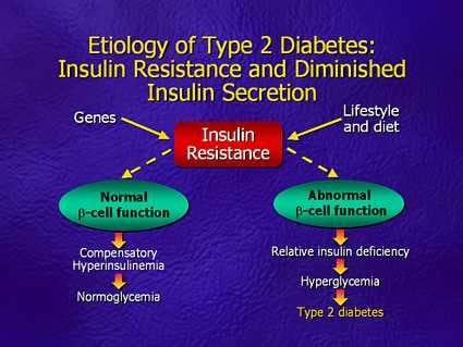 The Evolution of Diabetes Therapy: Addressing Multiple Defects