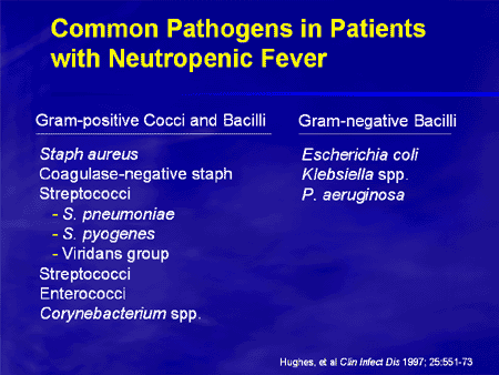 Therapeutic Challenges in Difficult Infections