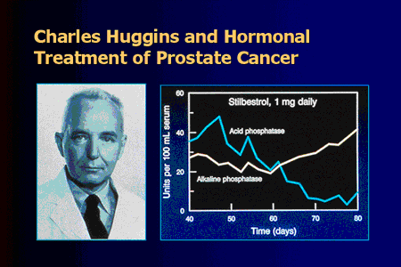 Charles Huggins and Hormonal Treatment of Prostate Cancer