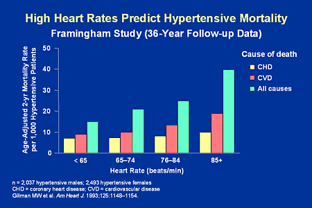 high heart rate high heart rate