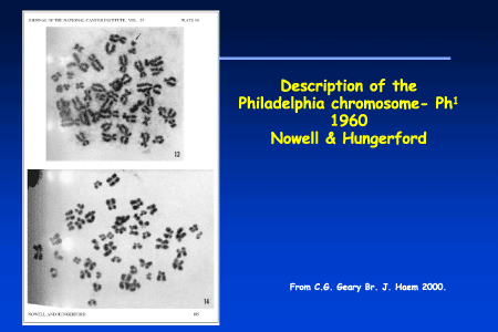 Description of the Philadelphia Chromosome - Ph1
