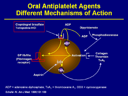 clopidogrel mechanism of action antiplatelet