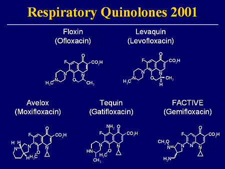 Meeting The Challenge Of A New Generation Of Respiratory Pathogens   Slide08 