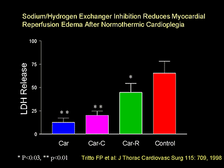 New Approaches to Myocardial Protection