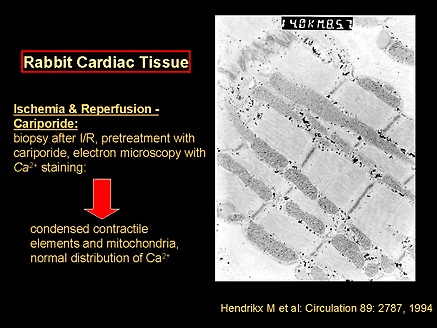New Approaches to Myocardial Protection