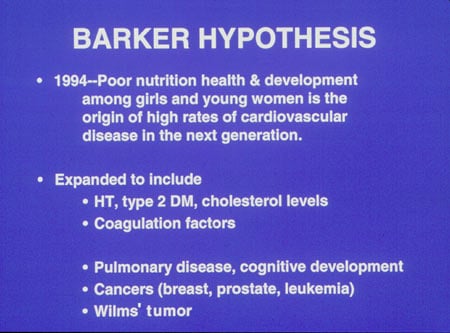 barker hypothesis