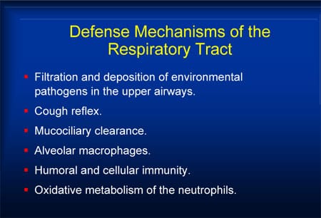 Masters of Pediatrics: Infectious Disease Update 2