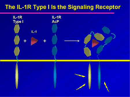 Biologic Therapies for Rheumatoid Arthritis: Navigating the Changing ...