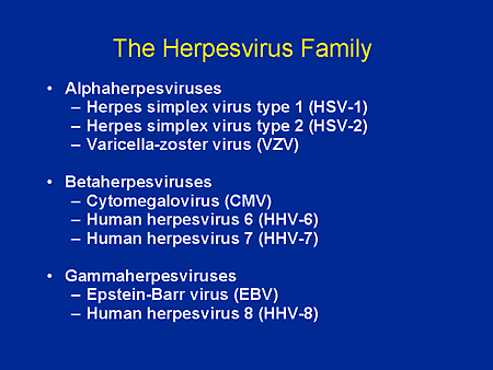 The Herpesvirus Family