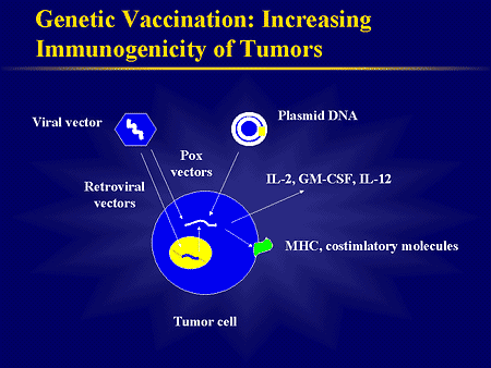 Therapeutic Cancer Vaccines: Targeting the Future of Cancer Treatment