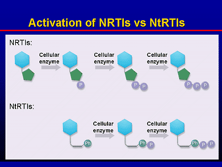 Science and ART: Optimizing the Use of NRTIs/NtRTIs in HIV ... diagram of nucleoside 